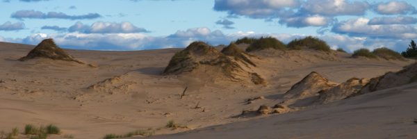 Hügel im Sand (Foto: Lucas Ratzke)