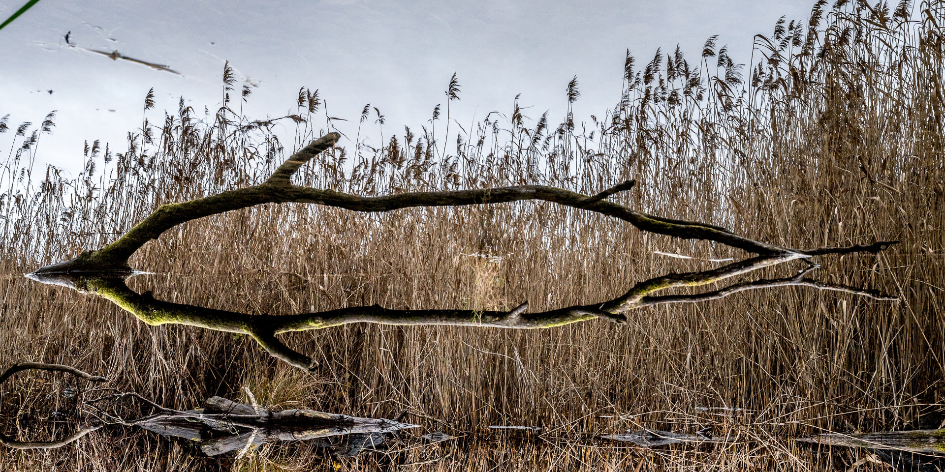 2019-Bild-des-Jahres-38-Illusion-upf-7.33 Illusion (Foto: Uli Pfeufer)