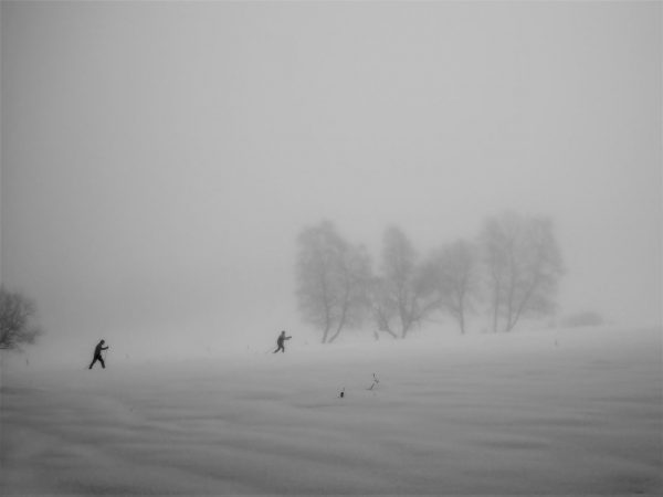 Im Dunst (Foto: Dietmar Schmidt)