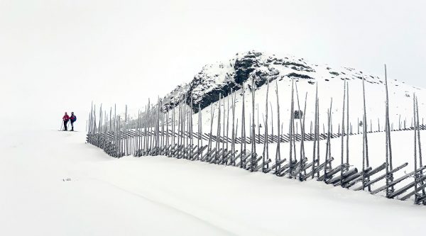 Im Schnee (Foto: Manuela Hahnebach)