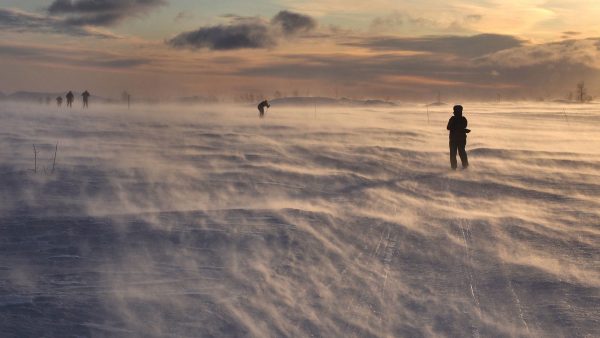 Noch 2000 km bis zum Nordkap . Norwegen (Foto: Andreas Kuhrt)