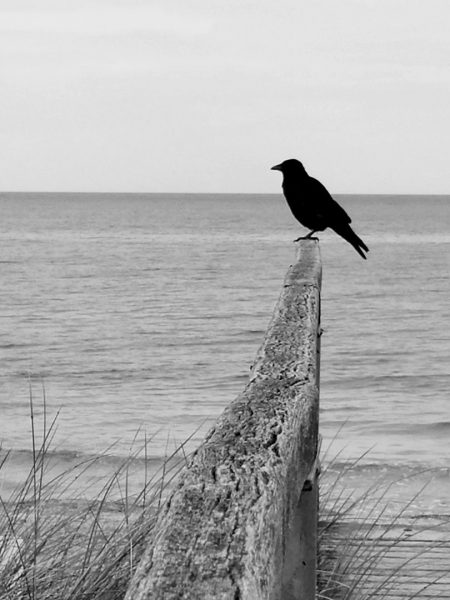 Pause (Foto: Carolin Fritz)