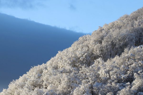 Schneewolke (Foto: Peter Maximilian Schmidt)