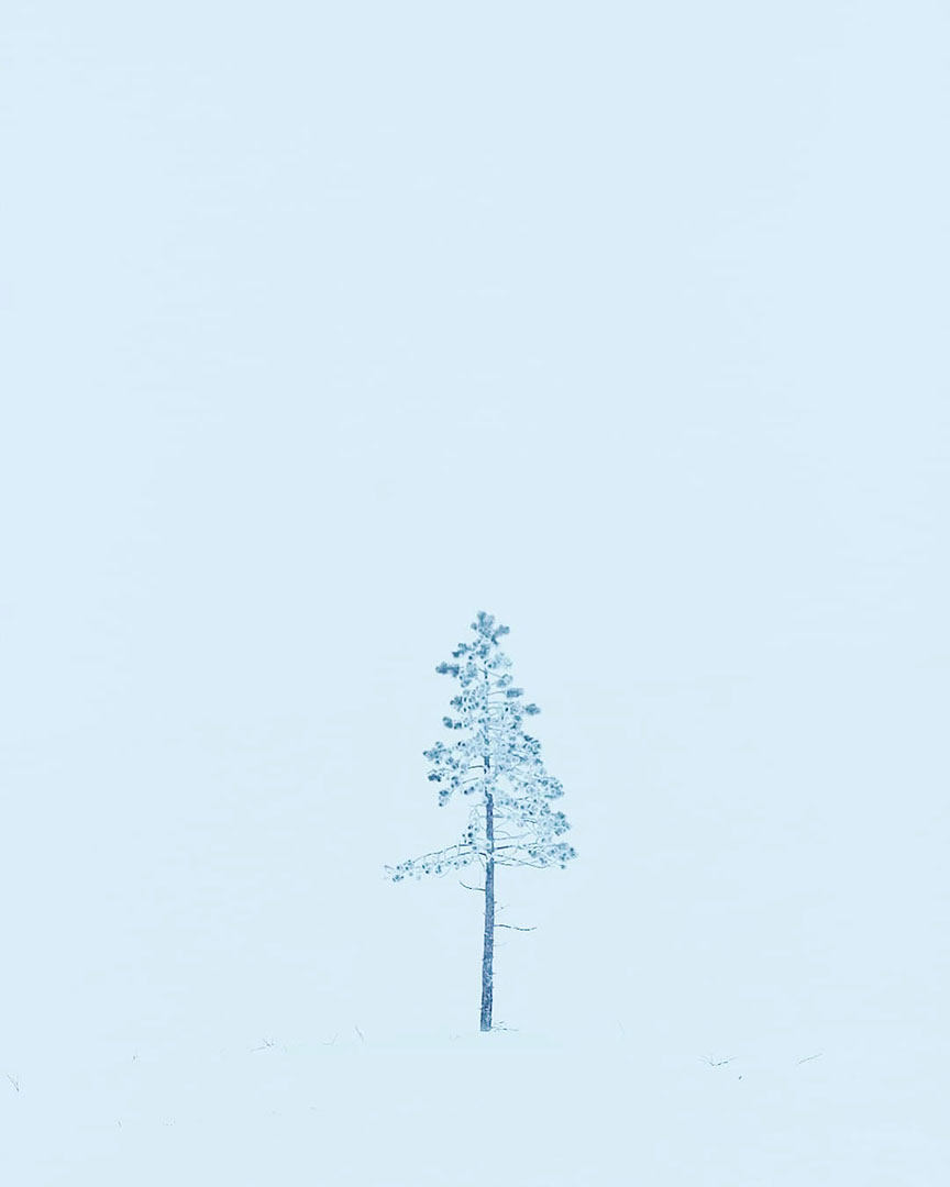 Fotoclub