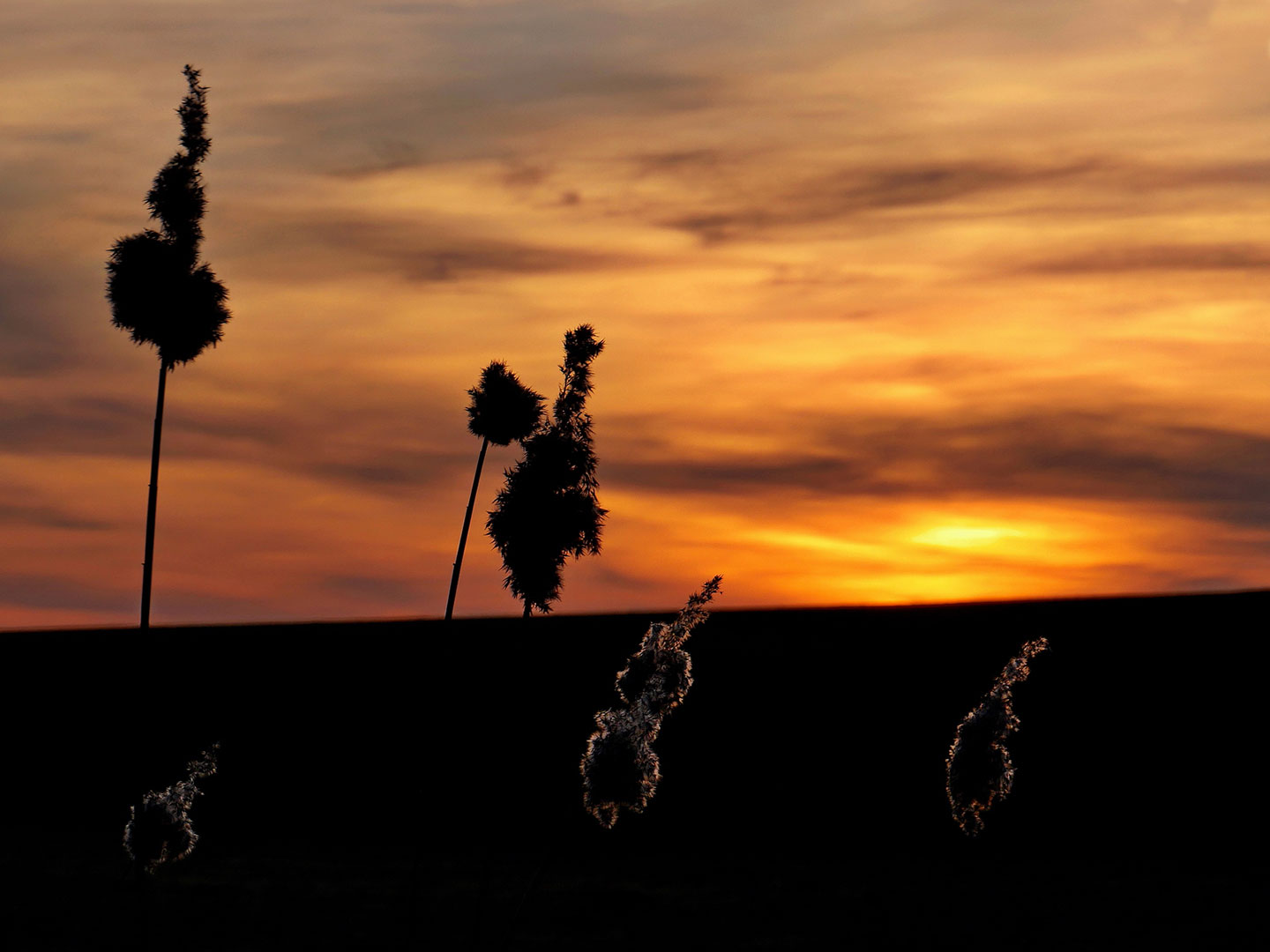 2019-Bild-des-Jahres-80-Sonnenuntergang-rok-7 Sonnenuntergang (Foto: Roland Kastner)