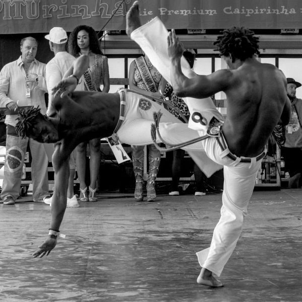 Verknotet (Foto: Lucas Ratzke)