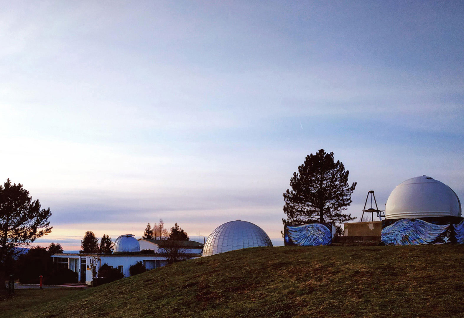 2019-Bild-des-Jahres-87-verkuppelt-cf-4 Verkuppelt (Foto: Carolin Fritz)