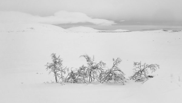 White-out (Foto: Andreas Kuhrt)