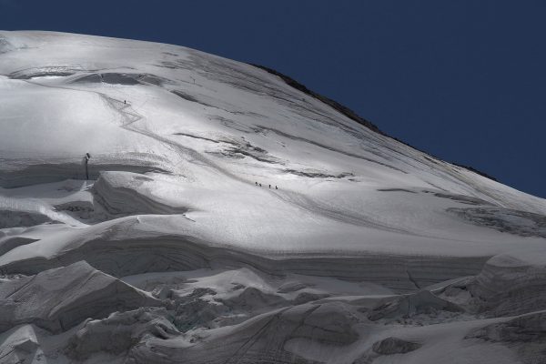 Winzlinge am Weißmies (Foto: Manuela Hahnebach)