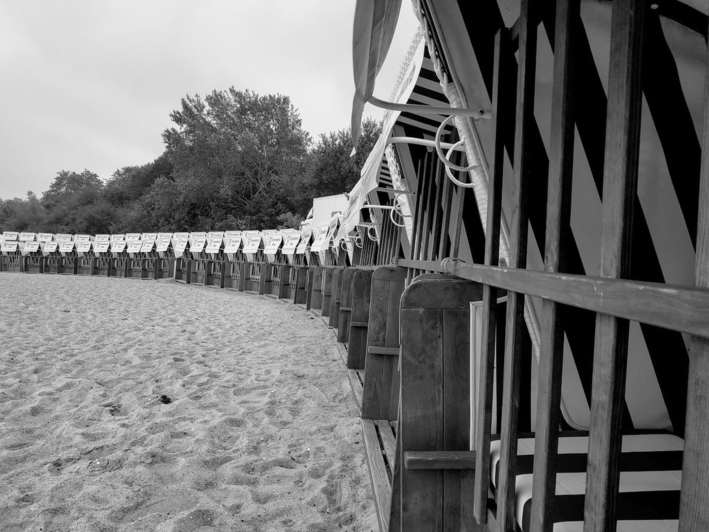 2019-Bild-des-Jahres-97-zusammen-cf-4.66 Zusammen (Foto: Carolin Fritz)