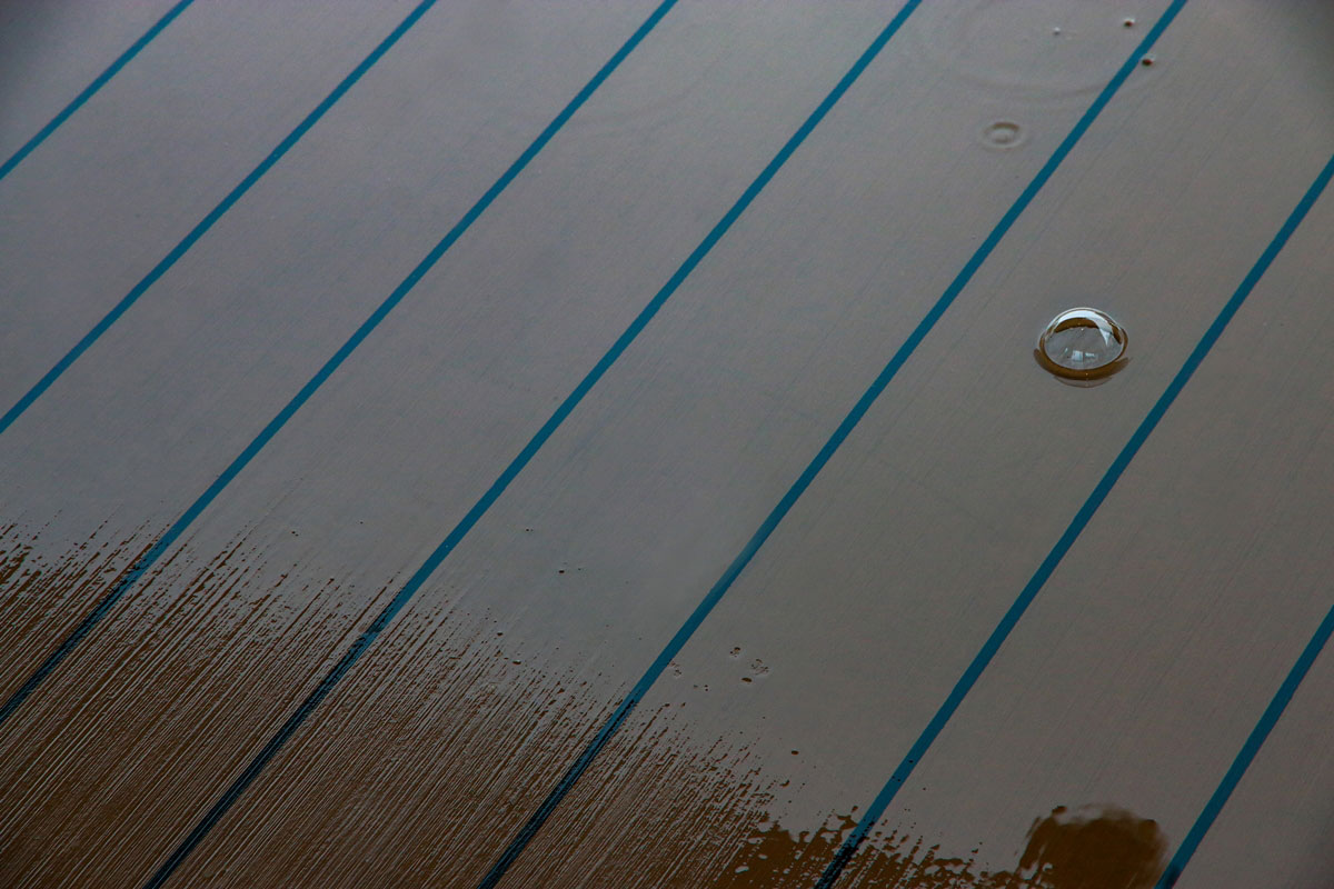 2019-Mappe-Jena-78-02-Die-Eine-Foto-Frank-Schreier Die Eine (Foto: Frank Schreier) . Mappenwettbewerb 2019/20 Foto-Klub Jena 78