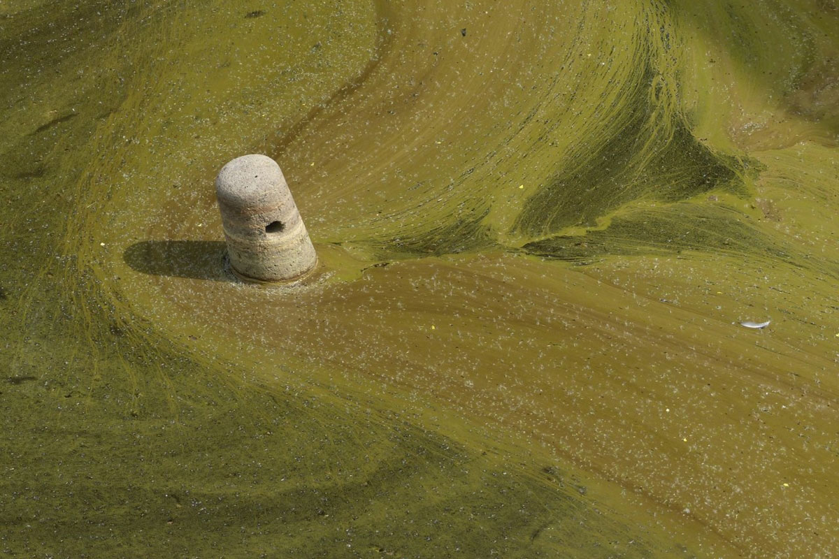 2019-Mappe-Jena-78-05-Der-Stoepsel-Foto-Rainer-Hanemann Der Stöpsel (Foto: Rainer Hanemann) . Mappenwettbewerb 2019/20 Foto-Klub Jena 78