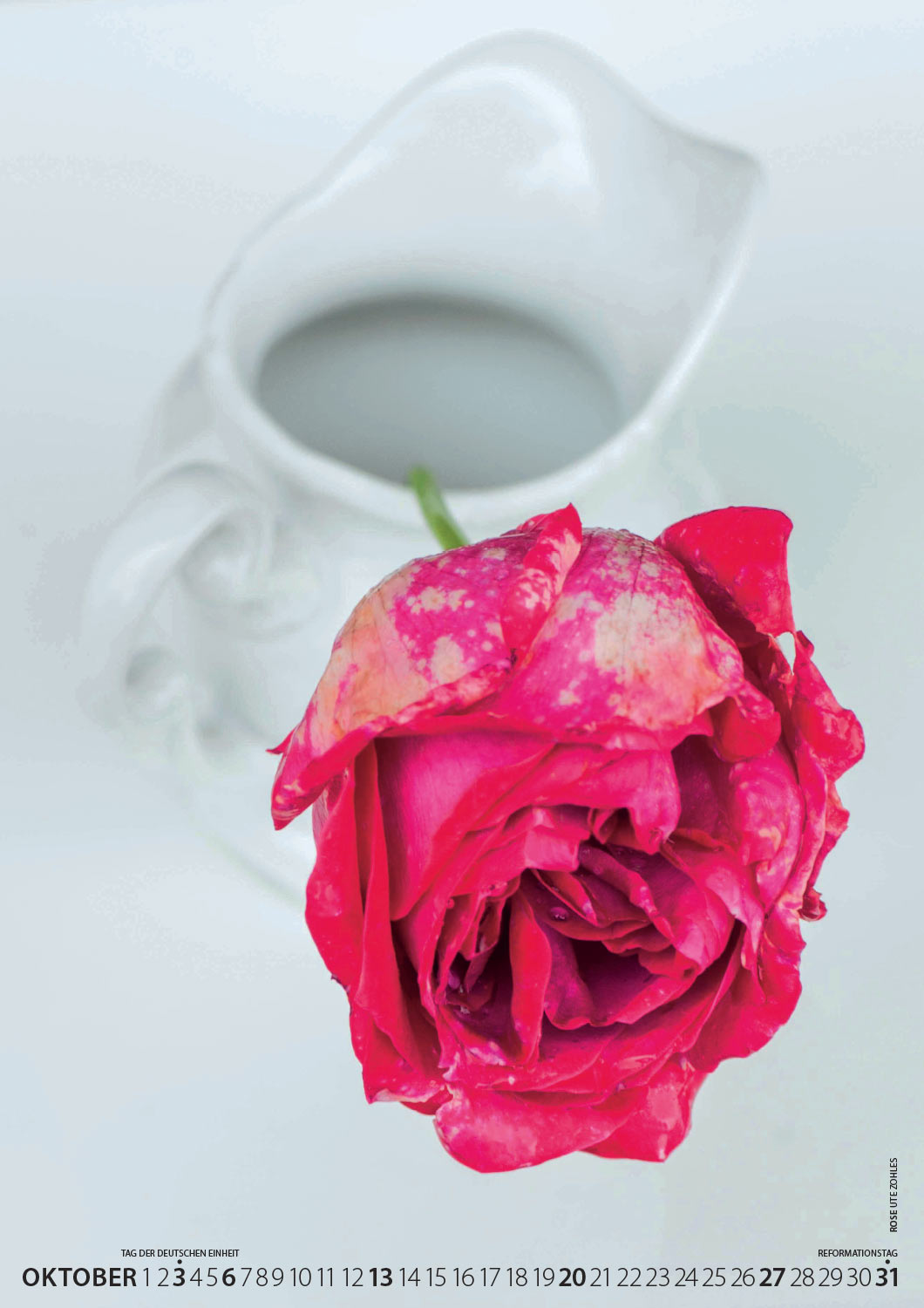 2019-fotoclub-kontrast-suhl-kalender-10 Kalender Fotoclub Kontrast Suhl 2019: Rose (Foto: Ute Zohles)