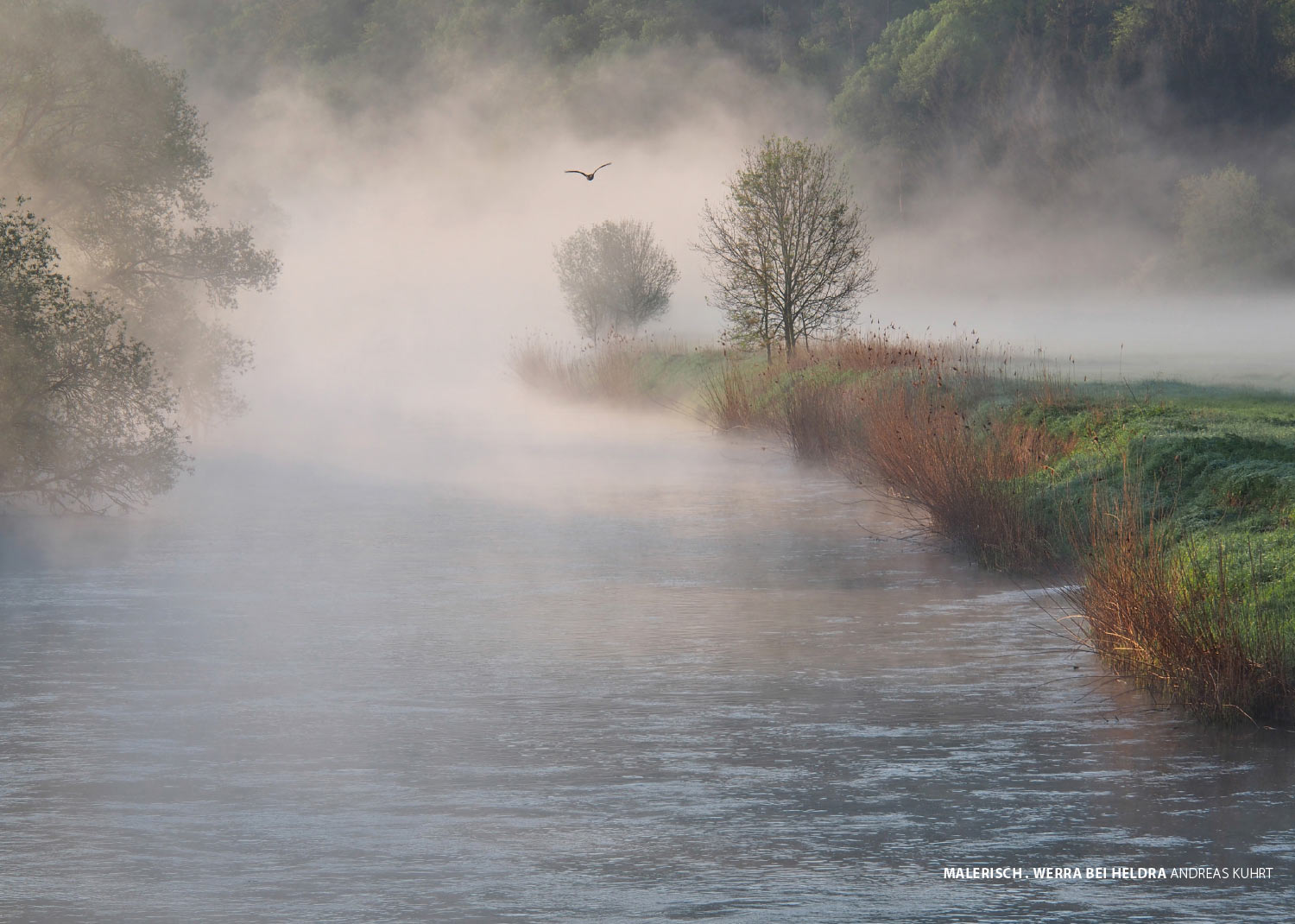 Fotoclub: Gartentreffen