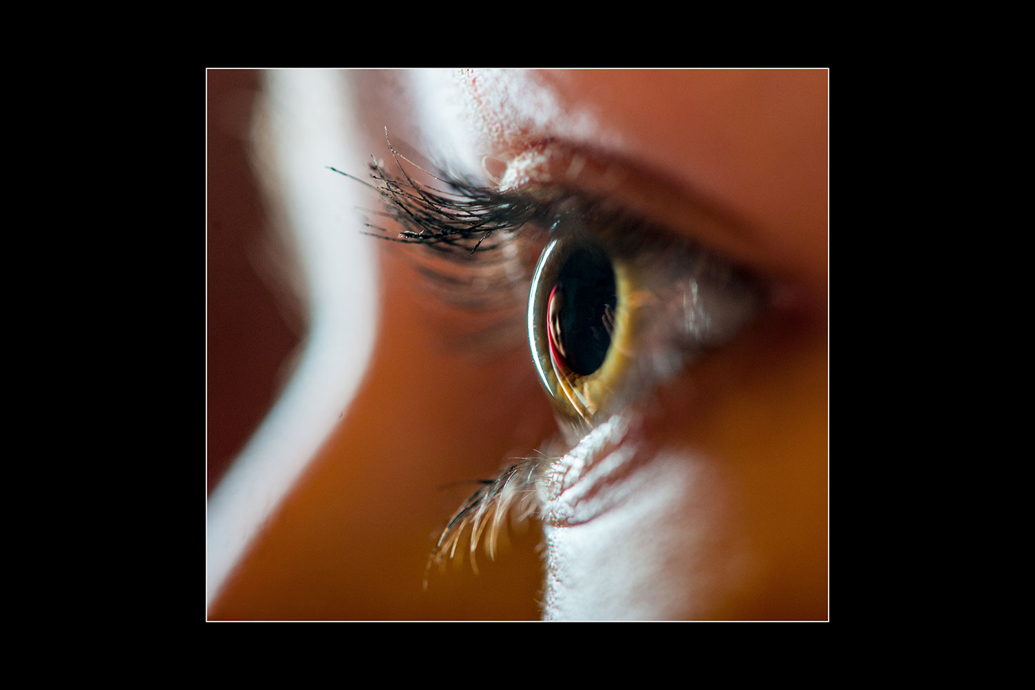 27. Mappenwettbewerb Thüringer Fotoclubs