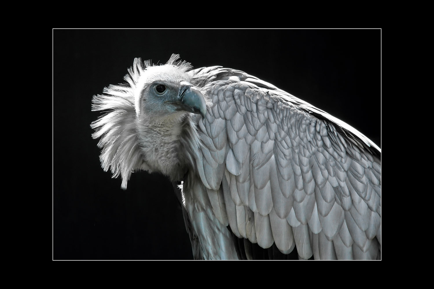 Fotoclub