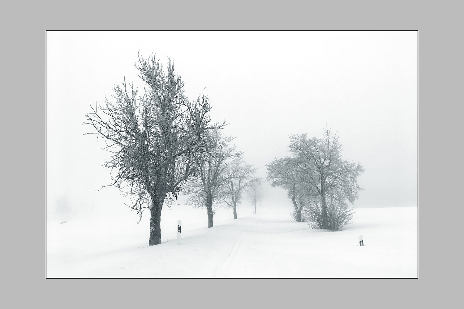 Fotoclub