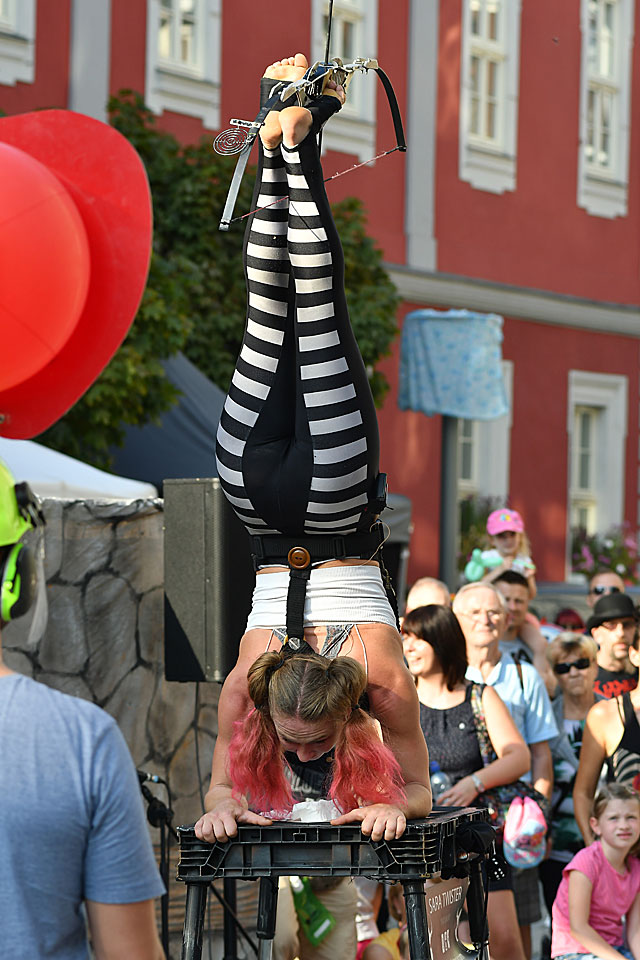 201909-zz06-3-Der-Schuss-gg-6.66 Serie: Der Schuss 3 (Foto: Günter Giese)