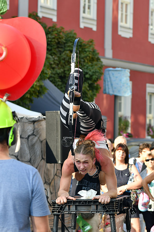 201909-zz06-5-Der-Schuss-gg-6.66 Serie: Der Schuss 5 (Foto: Günter Giese)