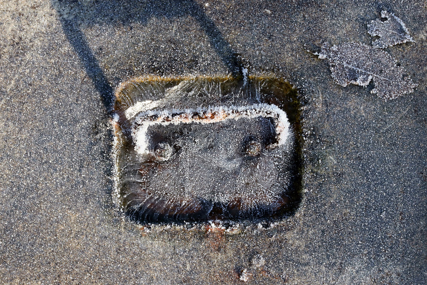 Fotoclub: Bild des Quartals 3.2025