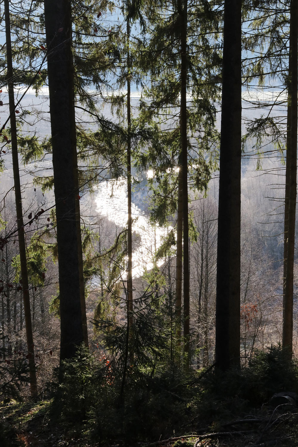 Fotoclub: Bild des Monats 2.2023