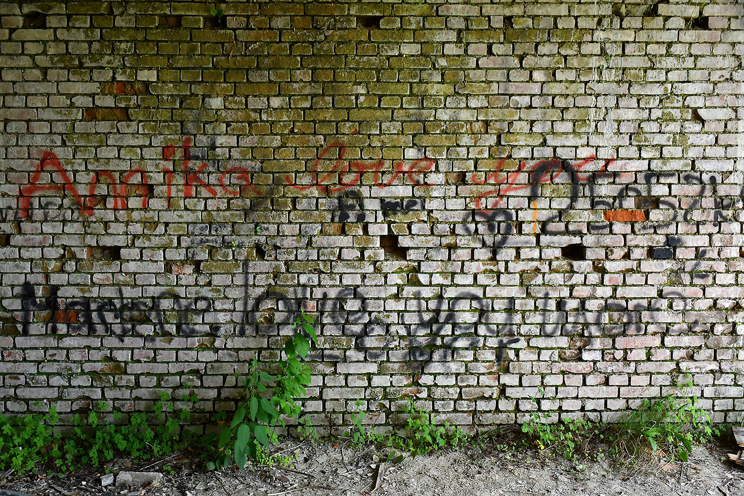 Garten-Fotoclub bei Uli