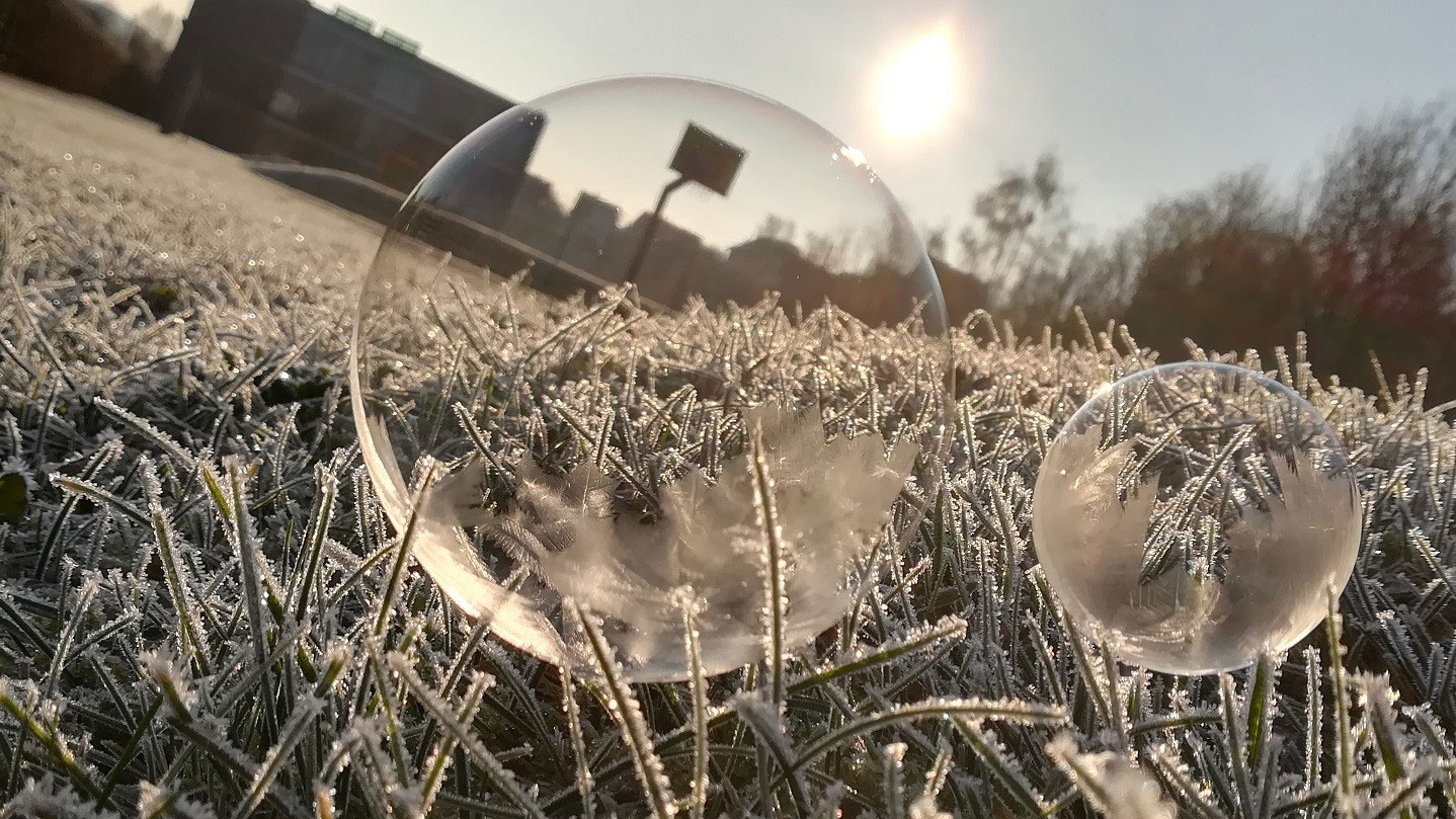 Fotoclub: Fotobearbeitung mit KI