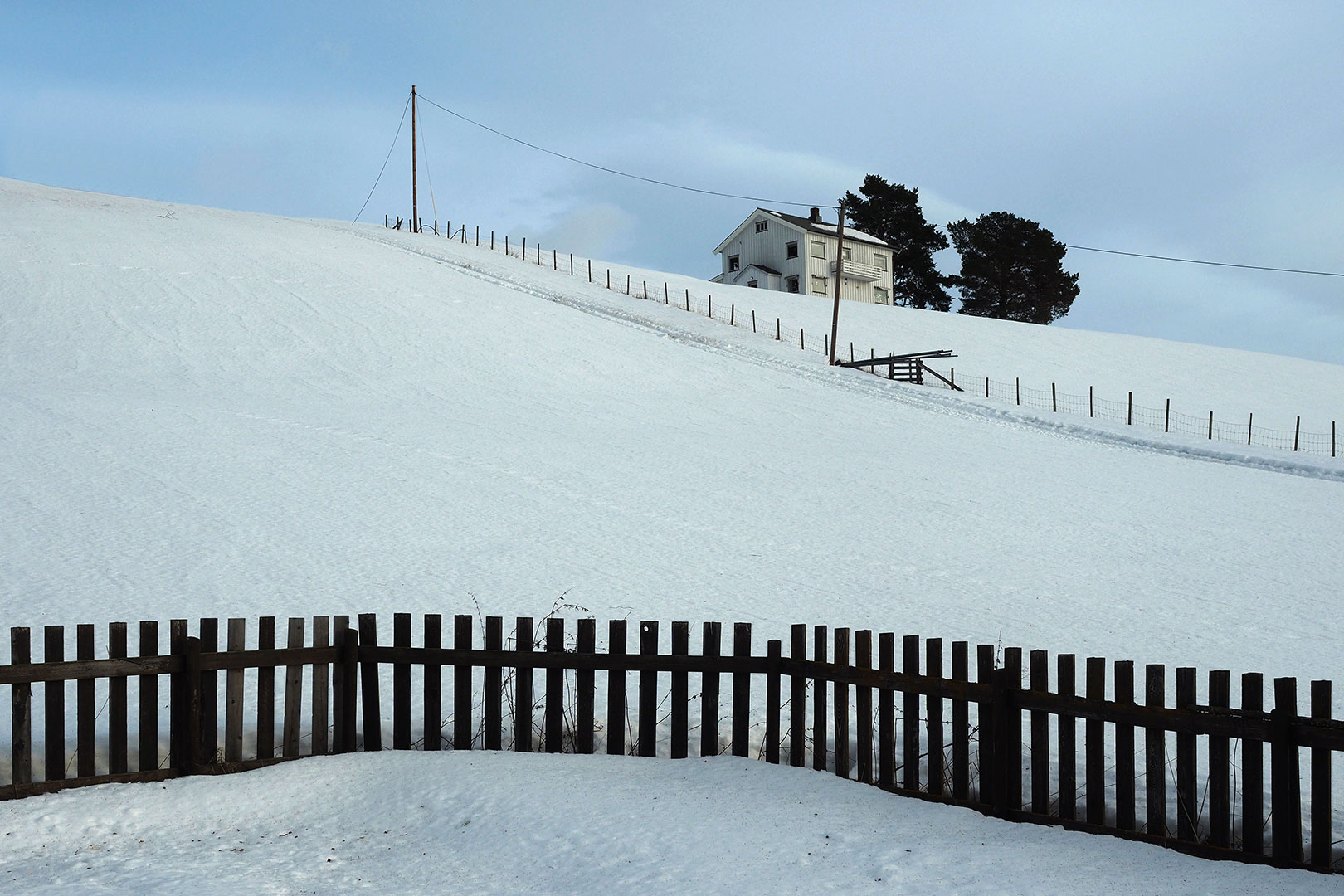 Fotoclub: Bild des Monats 07.2020