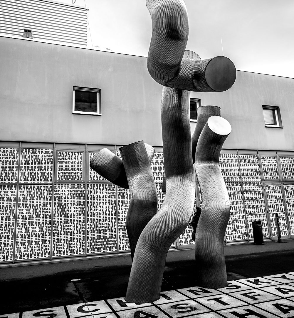 Fotoclub: Bild des Quartals 3.2025