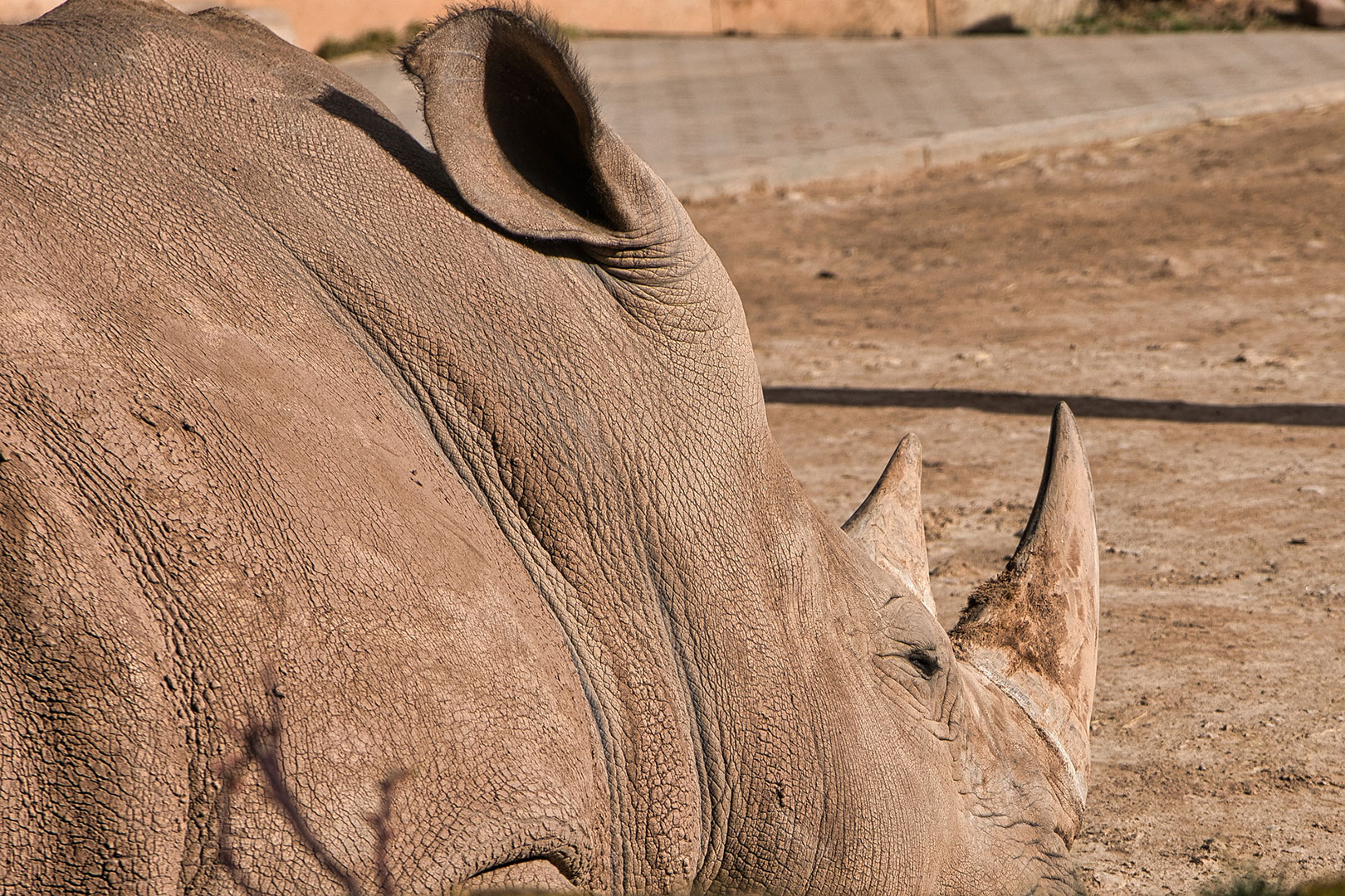 Endlich Pause (Foto: Roland Kastner)