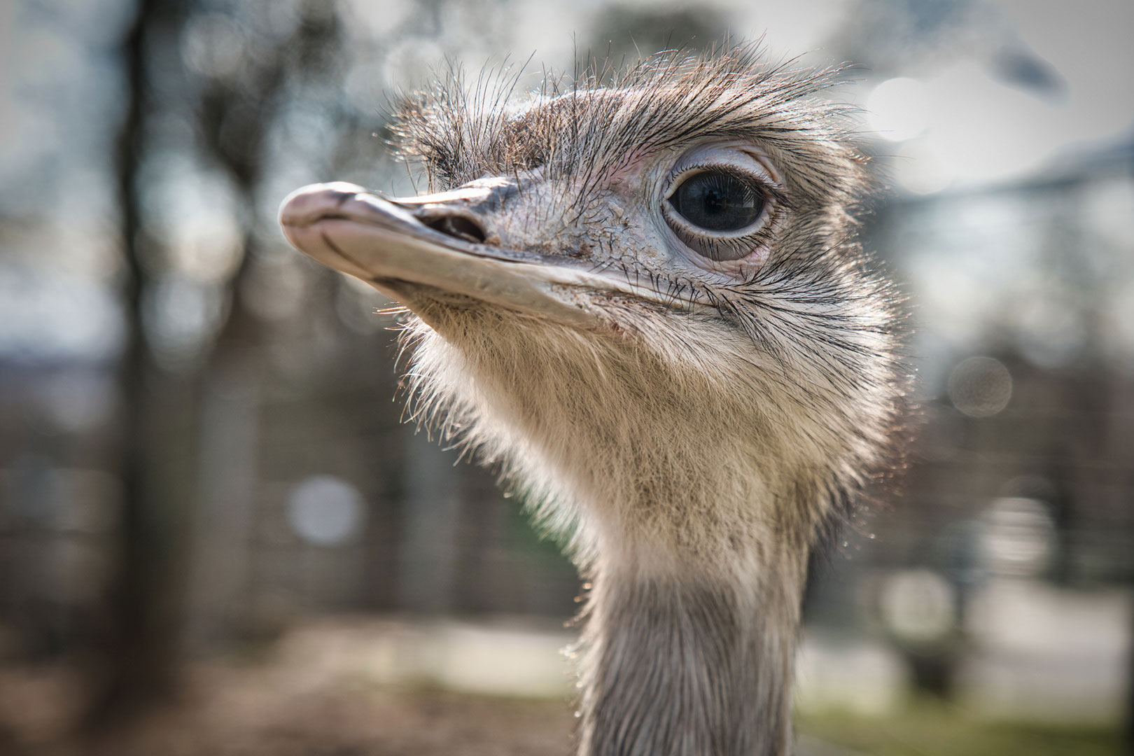 Neugierig (Foto: Roland Kastner)