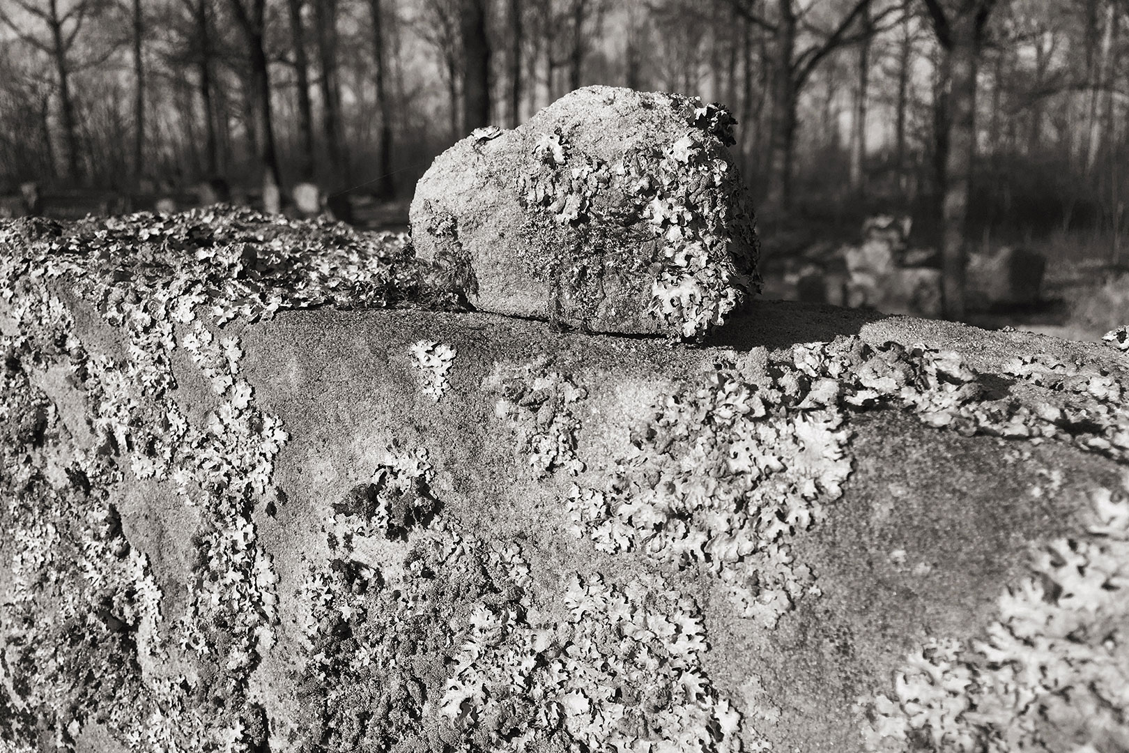 Fotoclub: Bild des Monats 07.2020