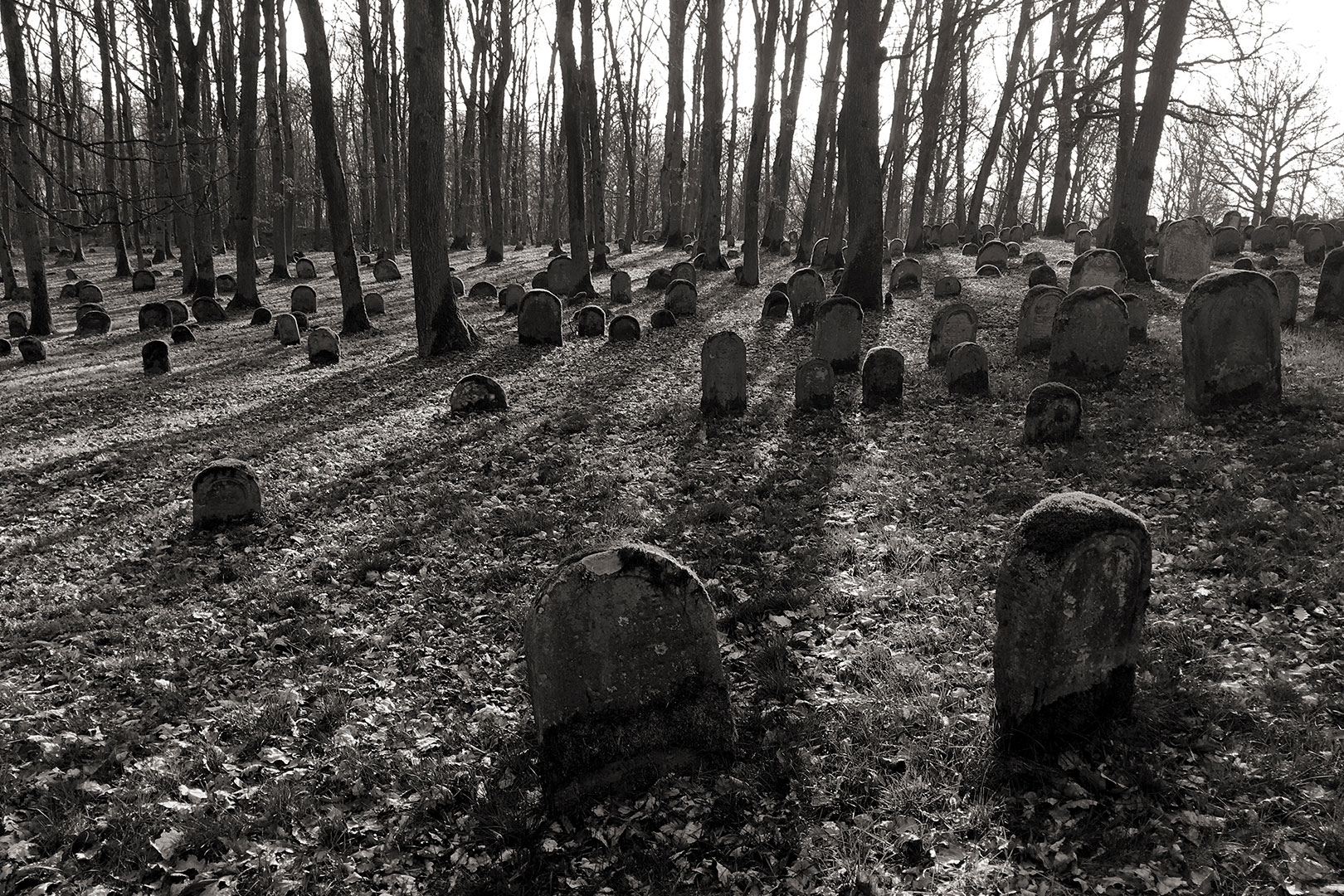 Serie: Grabfeld 5 (Foto: Andreas Kuhrt)