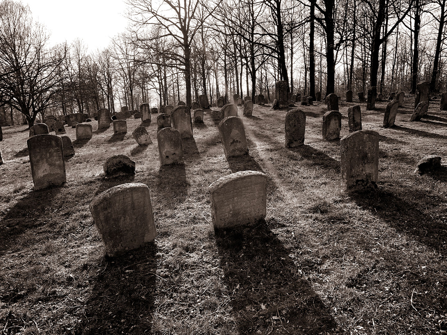 Statt Fotoclub: Patagonien-Bilder