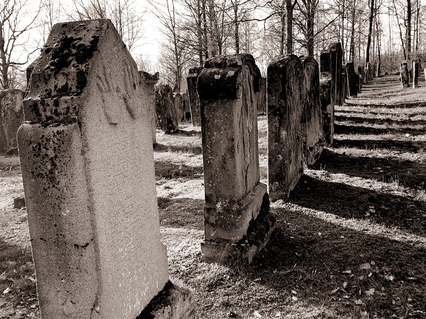 Serie: Gräberfeld 2 (Foto: Manuela Hahnebach)