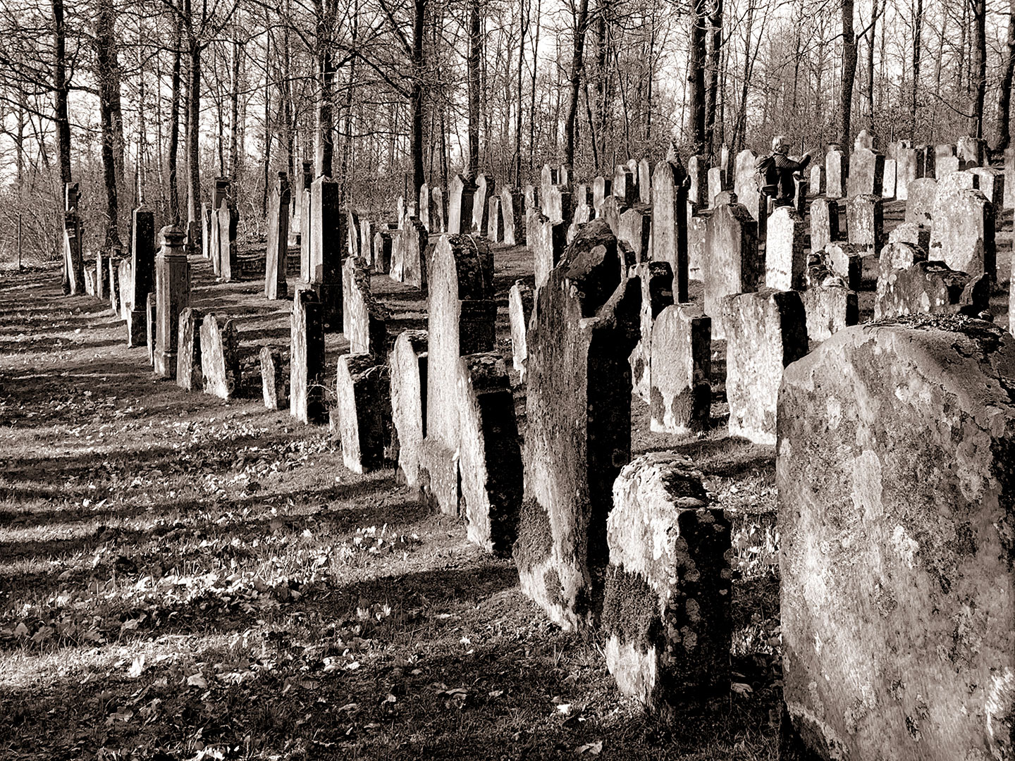 Serie: Gräberfeld 3 (Foto: Manuela Hahnebach)