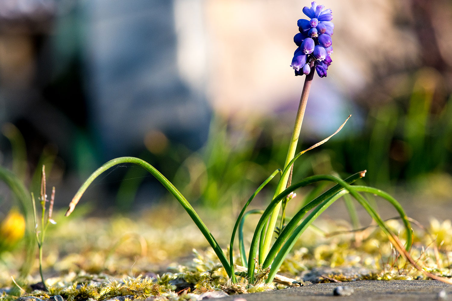 2020-05-06-Der-Streber-upf-5.75 Der Streber (Foto: Uli Pfeufer)