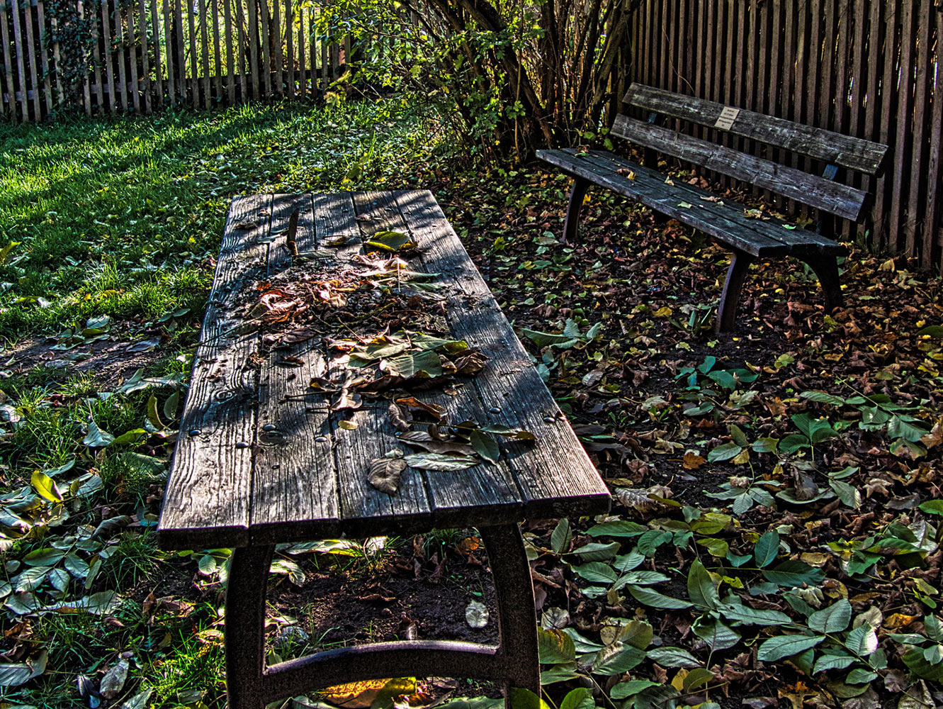 2020-05-18-Rastplatz-rok-5.75 Rastplatz (Foto: Roland Kastner)