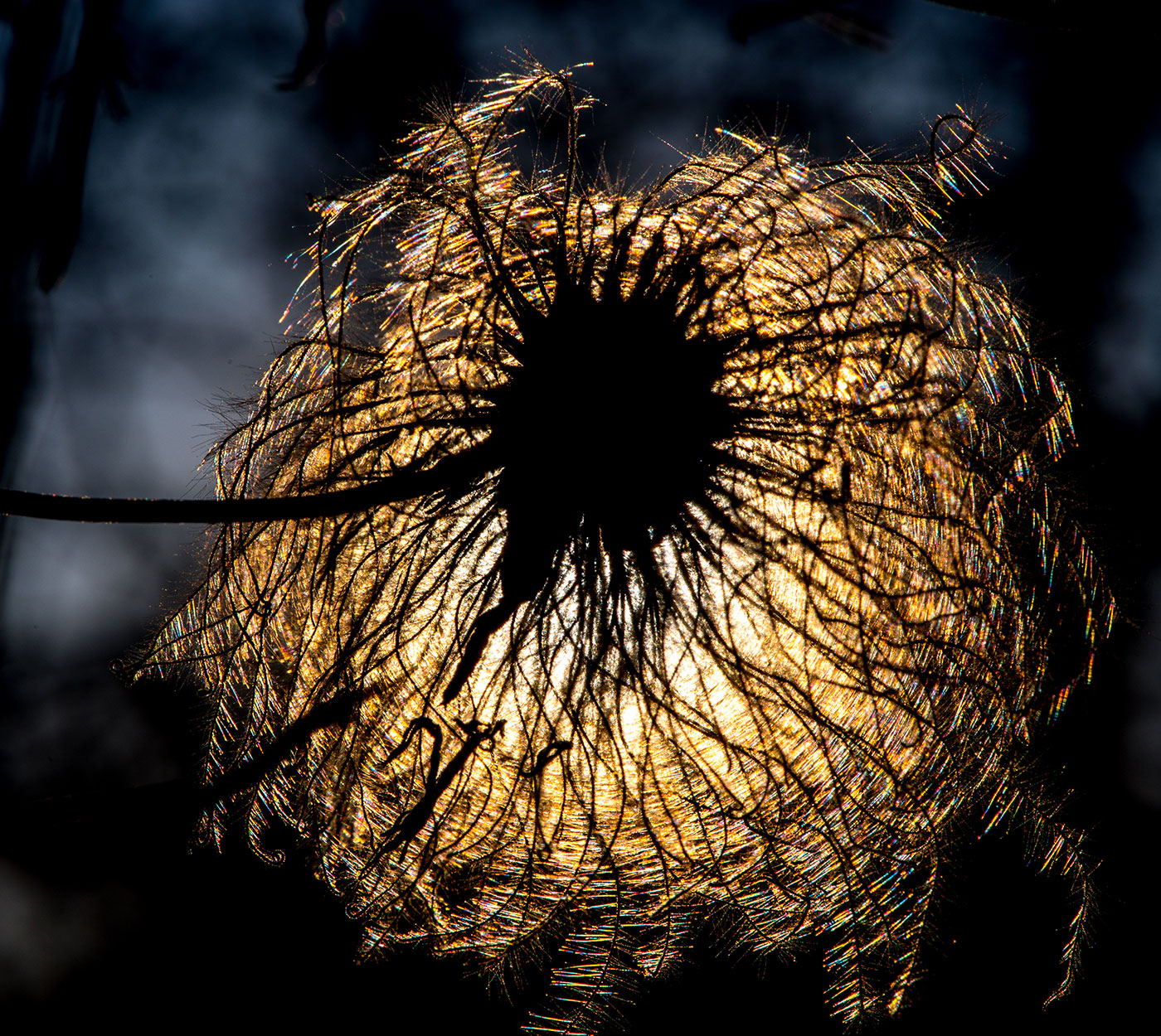 2020-05-22-Sonnenfinsternis-upf-7.25-1 Sonnenfinsternis (Foto: Uli Pfeufer)