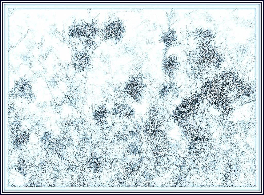 2020-05-25-Verblaeutes-DSC_6750-khr-5.8 Verbläutes (Foto: Karl-Heinz Richter)