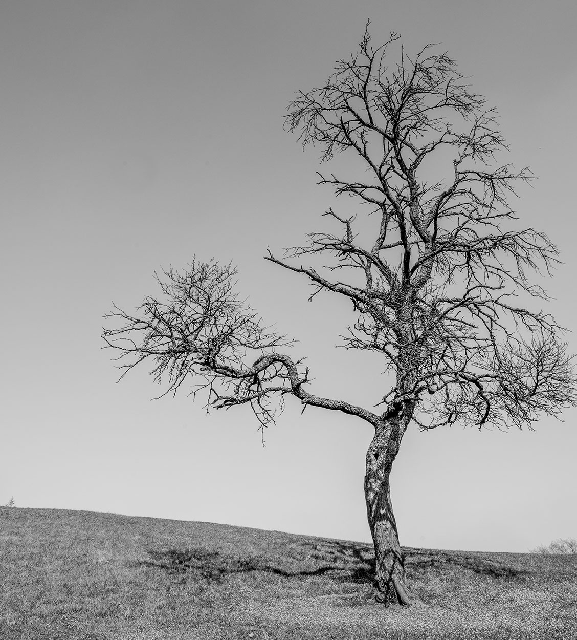 Fotoclub: Bild des Quartals 3.2025