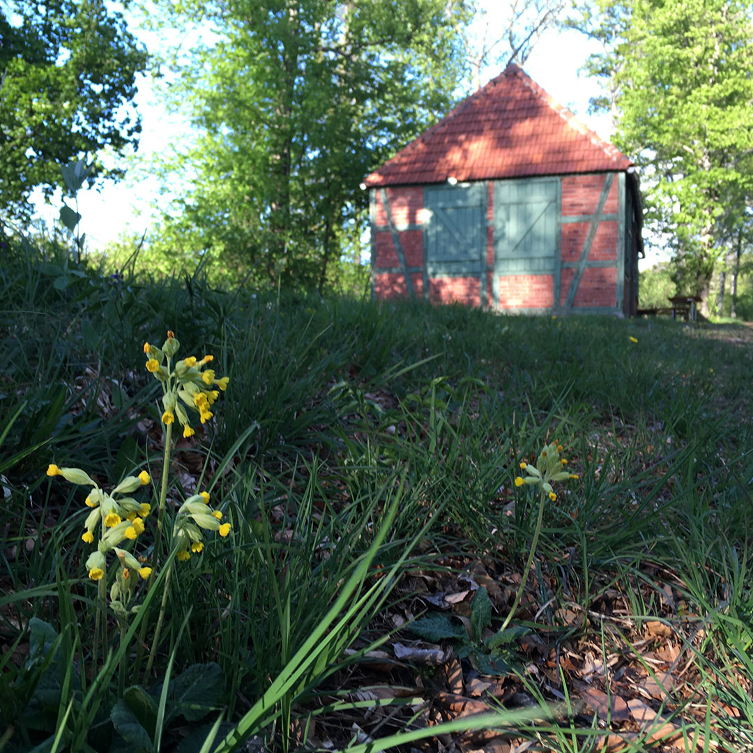 2020-05-zz06-1-Traum-aus-IMG_3818-ak-4.25 Serie: Traum aus 1 (Foto: Andreas Kuhrt)