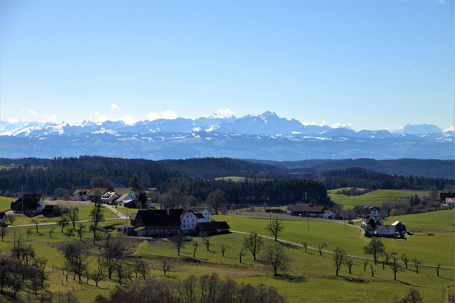 2020-06-01-Alpenblick-kw-4 Alpenblick (Foto: Kerstin Wolff)