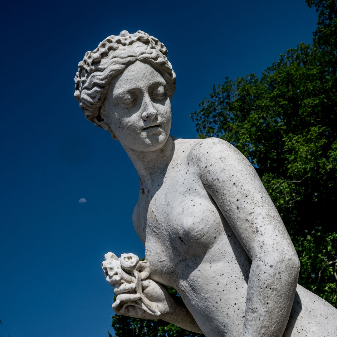 2020-06-02-anmut-mit-halbmond-upf-5.33 Anmut mit Halbmond (Foto: Uli Pfeufer)