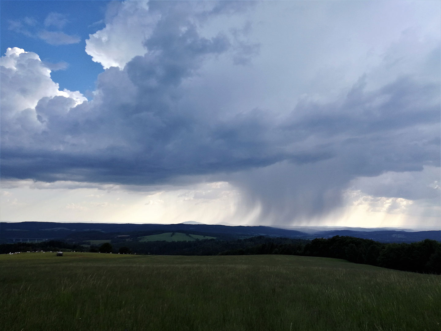 Fotoclub: Bild des Monats 01.2023