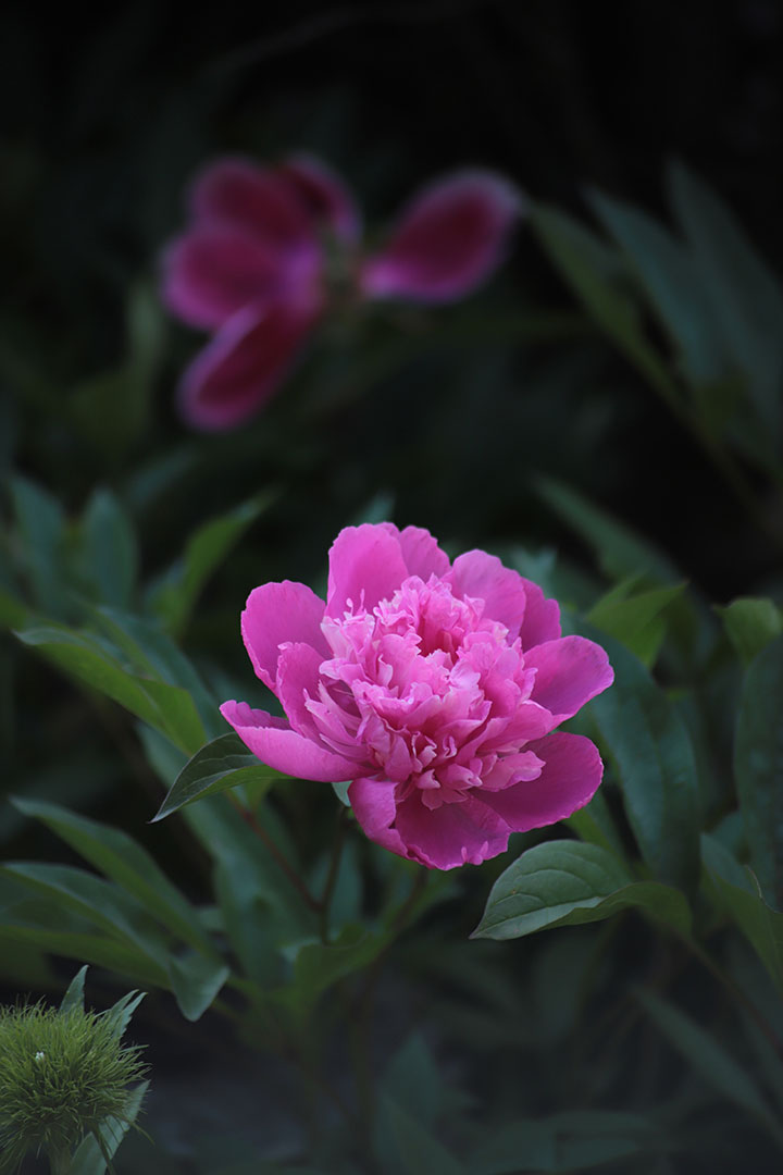 Entspannung (Foto: Kerstin Wolff)