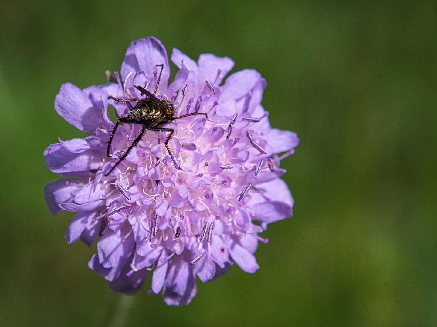 Gleich hab ichs (Foto: Roland Kastner)