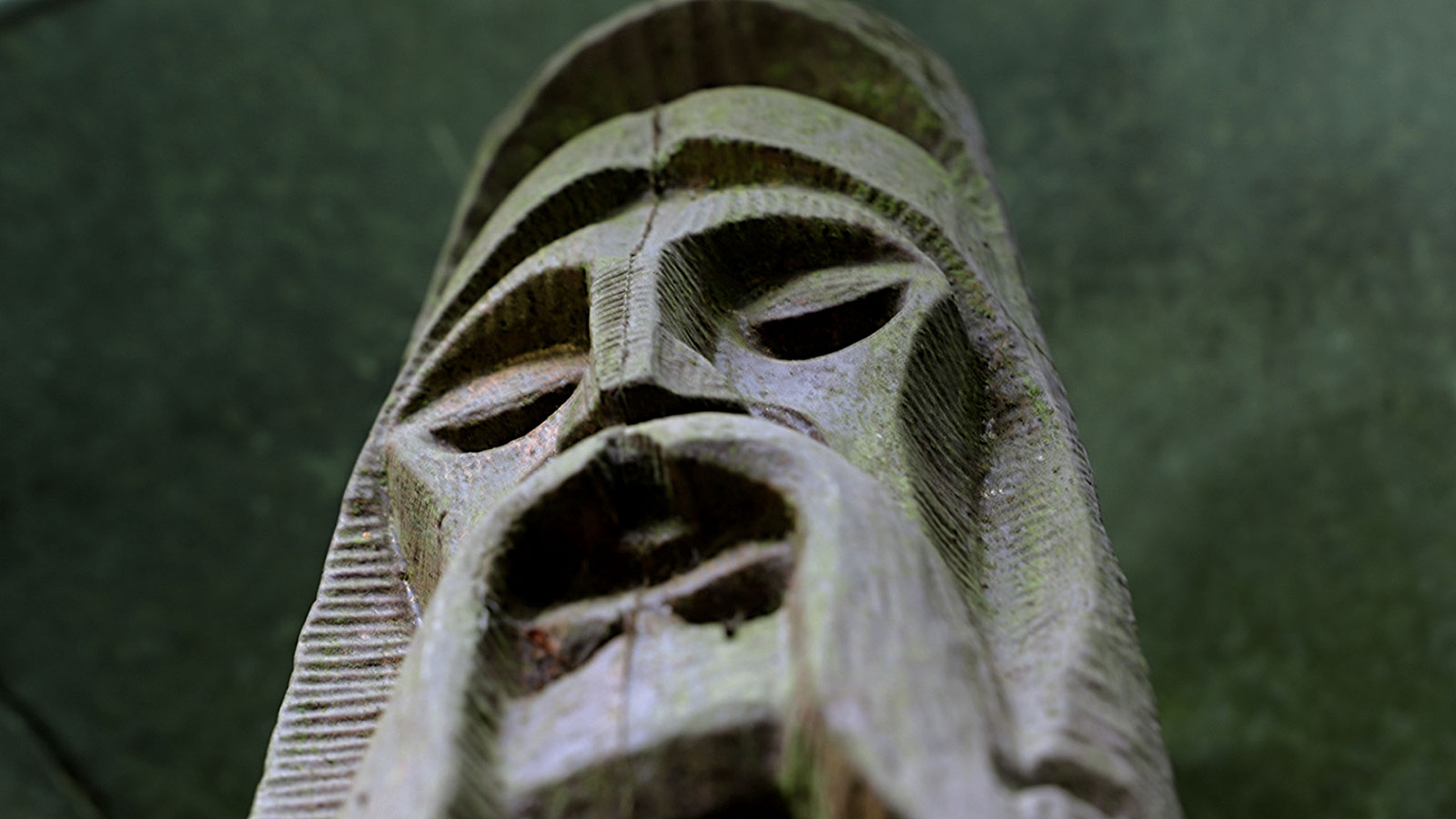 2020-07-16-02-Blickwinkel-kw-4.75 Blickwinkel (Foto: Kerstin Wolff)