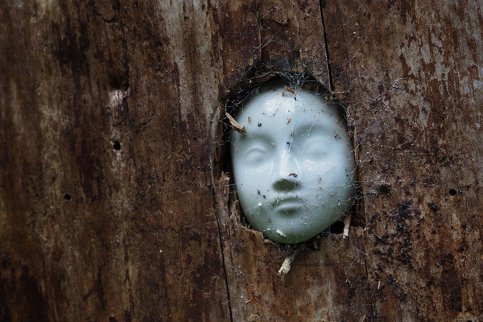 2020-07-16-11-gefangen-mh-7.25 Gefangen (Foto: Manuela Hahnebach)