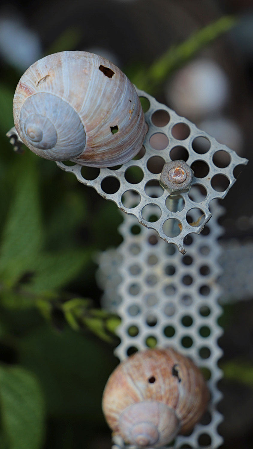 Fotoclub: Bild des Quartals 3.2025